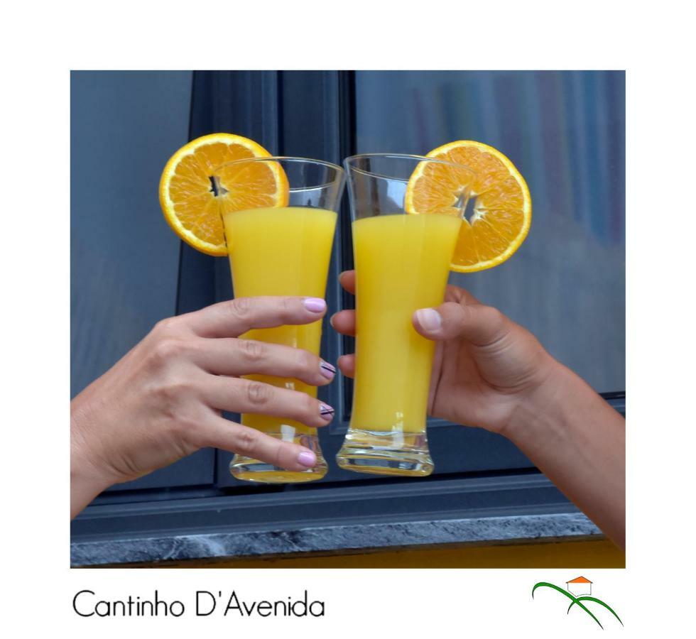 Apartment Cantinho D'avenida *