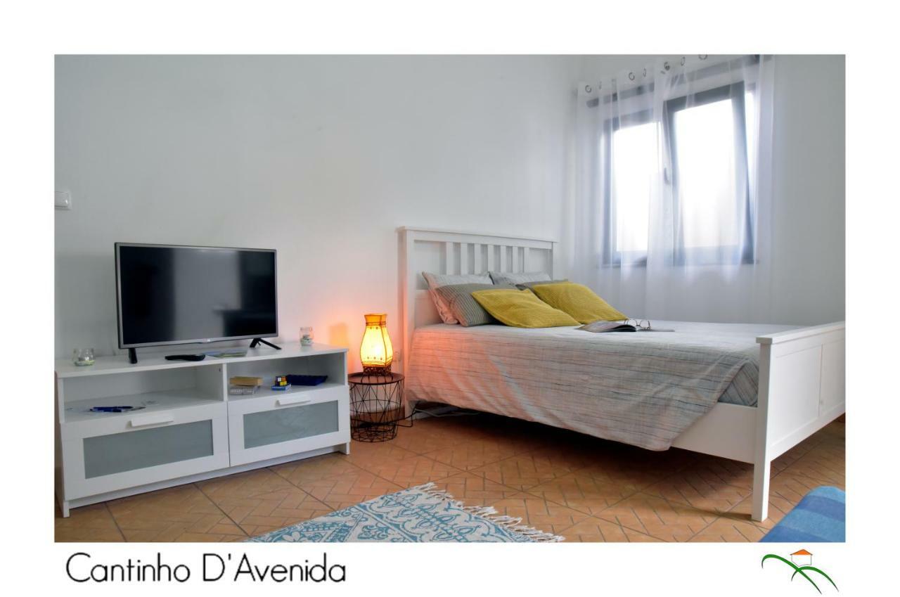 Cantinho D'avenida Apartment